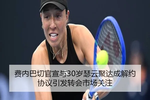 费内巴切官宣与30岁瑟云聚达成解约协议引发转会市场关注